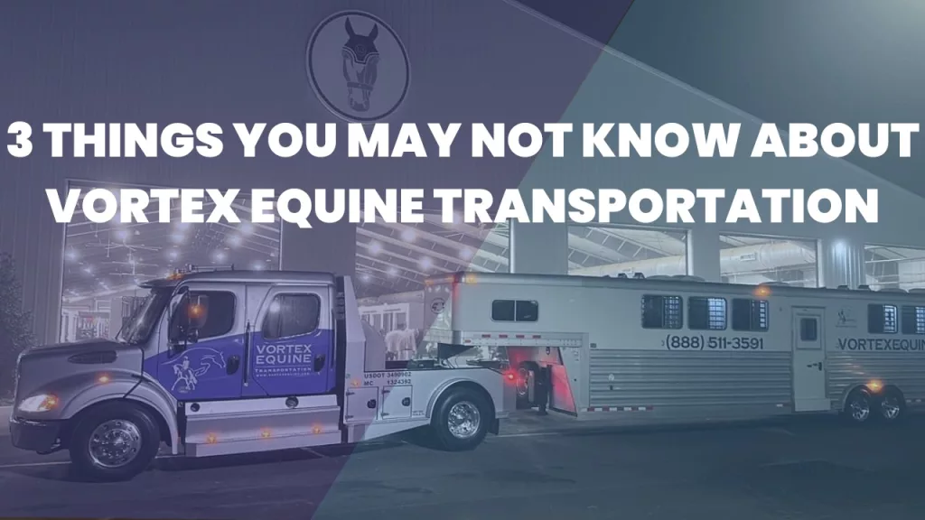 The 3 things you may not know about Vortex Equine's Transportation Services. 
